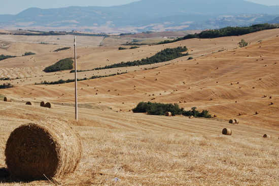 ...im Sueden der Crete....