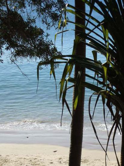 Am liebsten aber verbringe ich meine Freizeit, wenn immer Wetter und Zeit es mir erlauben, am bezaubernden Main Beach....