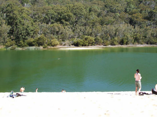 In mitten der Sanddünen fanden wir dann den wunderschönen Lake McKenzie (Süsswassersee), in dem wir baden durften.