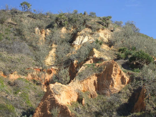 Weiter gingen wir zu den Sandformationen Coloured Sands. Es sind riesige Sanddünen. Mehr als 40 verschiedene Mineralien im Sand lassen ihn in den verschiedensten Farbtönen erstrahlen.