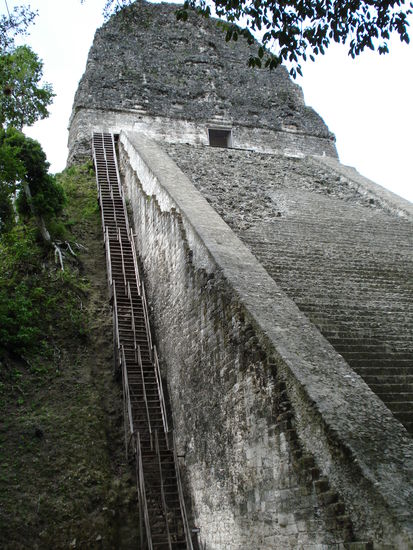 Meine Herausforderung