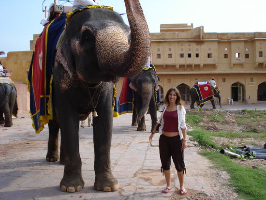 Elefant und ich im Amber Fort
