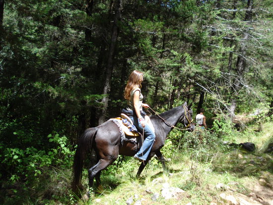 Ausritt durch den Wald in San Cristobal
