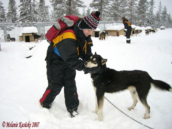 erstes "beschnuppern"