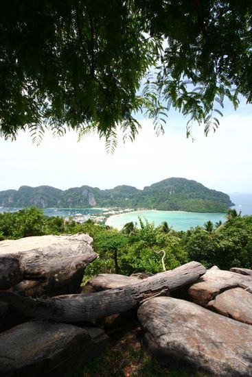 Viewpoint 2