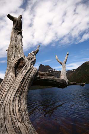 Cradle Mountain NP