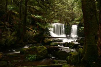 Lady Baron Falls im Mt. Field NP