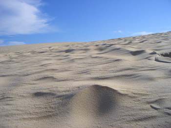 Achja, in der Sahara waren wir auch kurzzeitig (Henry Dunes)