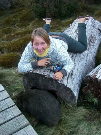 Anne beim Wombat fotografieren (nicht das, was mich gebissen hat)