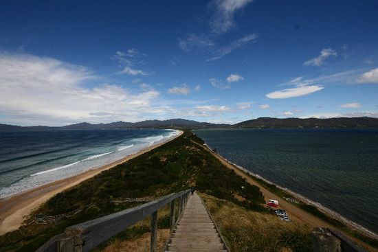 Bruny Island. Das ist die Stelle wo man eigentlich sooo viele Pinguine sieht - nur natuerlich wir nicht.