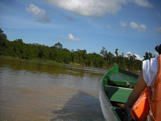meine Aussicht auf den Kinabatangan River
