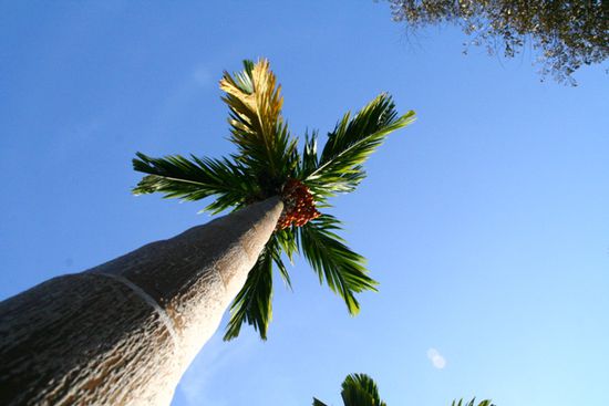 wie im Urlaub lol