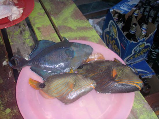 na schonmal Triggerfisch gegessen?!... Nein, dann tuts nicht... bäh!