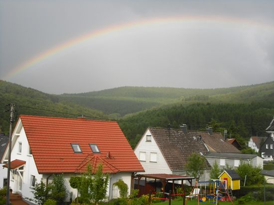 SChönen Wald haben wir hier schon irgendwie...
