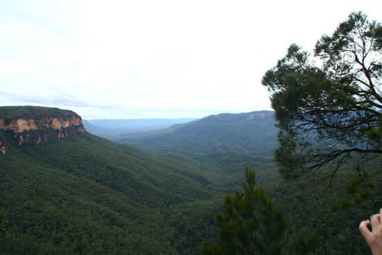 Blue Mountains (hab die Hand net gesehen)