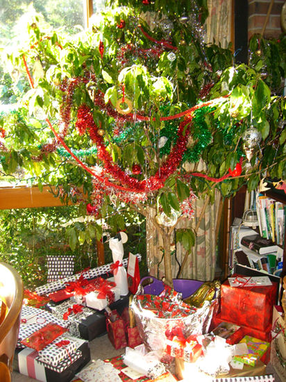 Weihnachtslaubbaum... lol