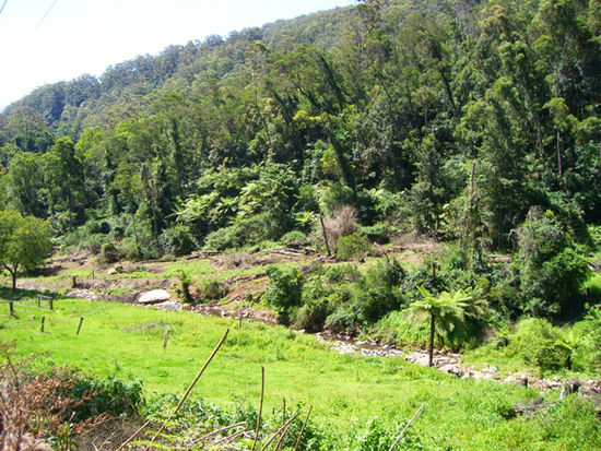 ein Teil von Kangaroo Valley