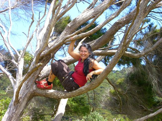 Katja in a tree