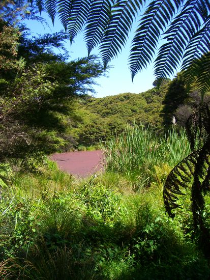 auf dem Weg zu Rocky bay