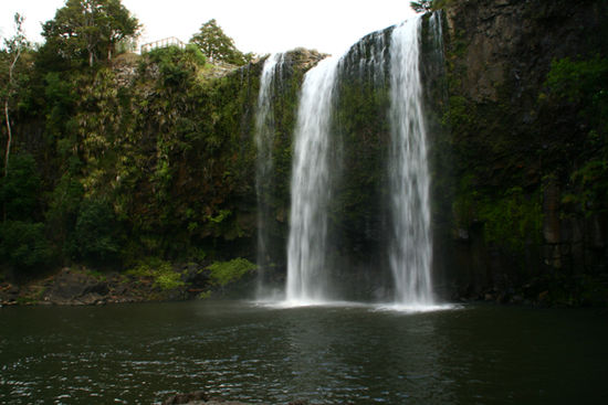 Whangarei Falls