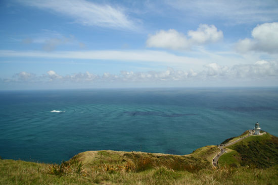 Da is Neuseeland im Norden zu Ende und da wo es weiss ist im Wasser treffen sich die Tasman Sea und der Pacific