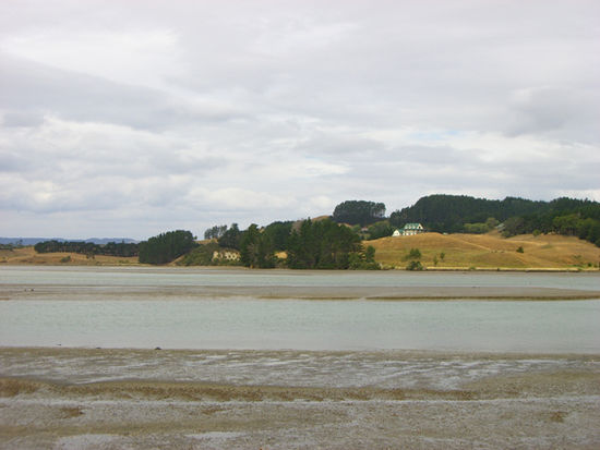 Ein Teil von Raglan bei Ebbe