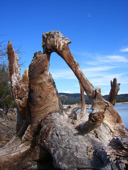 irgendwo bei nem Walkway in Rotorua