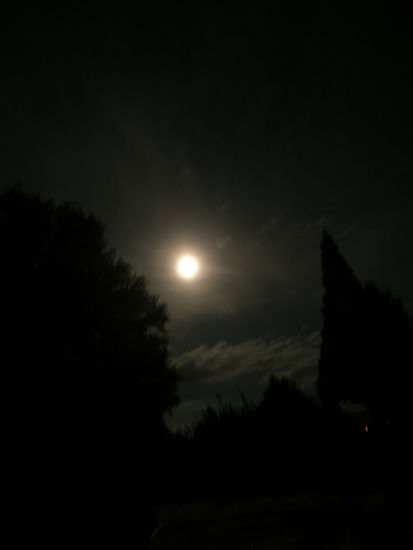 da haben wir Abends gelegen und den Mond angeheult.