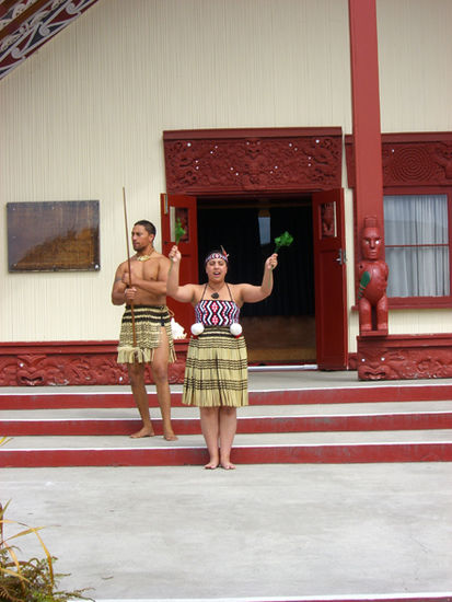 Maori-Show