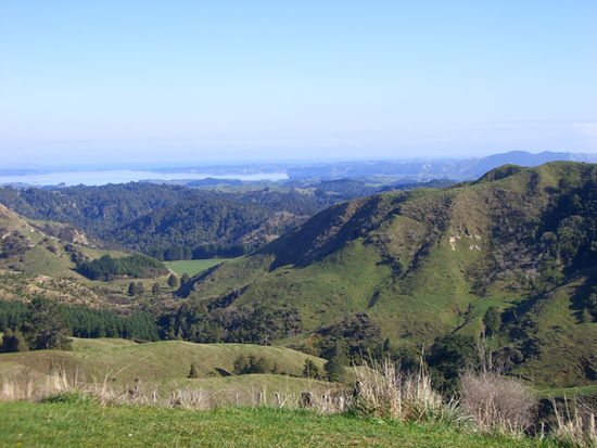 Auf dem Weg nach Kawhia