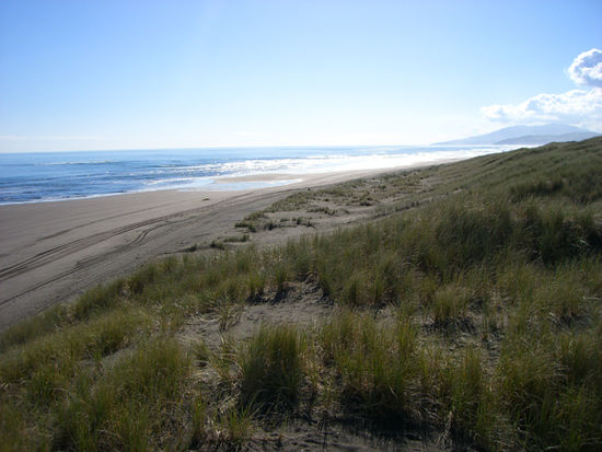 Ocean Beach - Kawhia