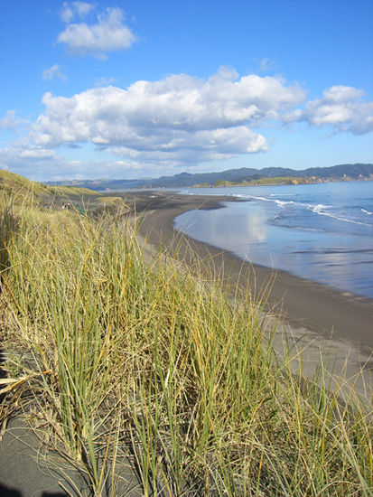 Ocean Beach - Kawhia