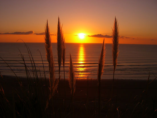 sunset in Raglan