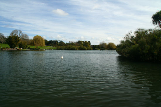 Der See