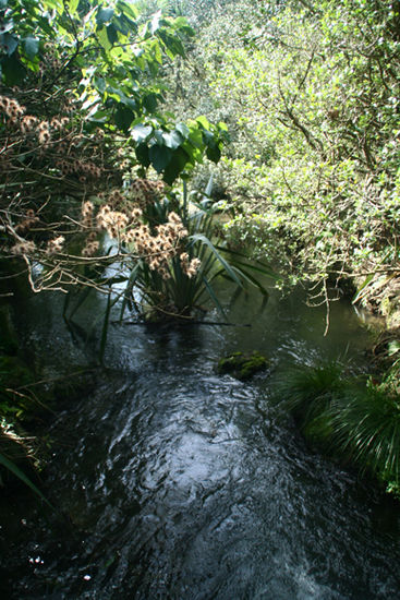 ein kleiner Fluss