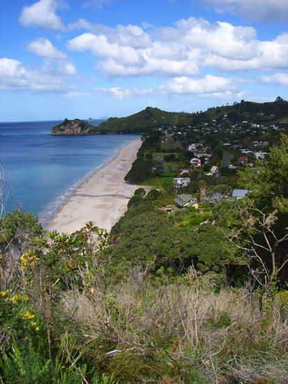 view from walkway to Hahei
