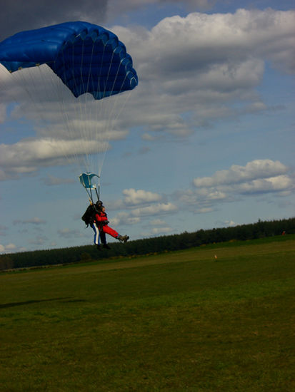 Michelle landing