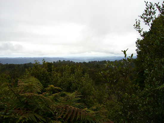 taranaki Lookout