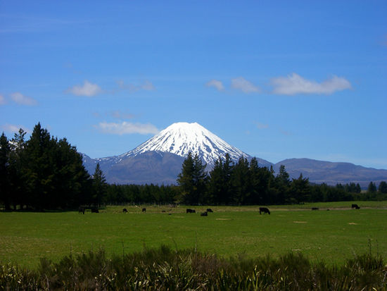 Mt Ngauruhoe bei klarem Wetter vom Hostel aus