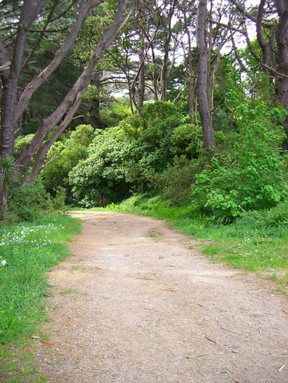 "Get off the Road" ... 1. Teil Herr der Ringe wo die 4 Hobbits vorm Bauern fliehen