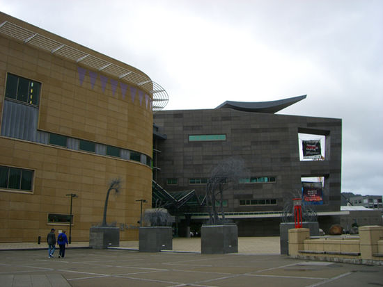 Te Papa Museum