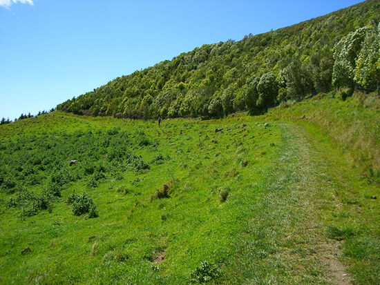 Weg herunter