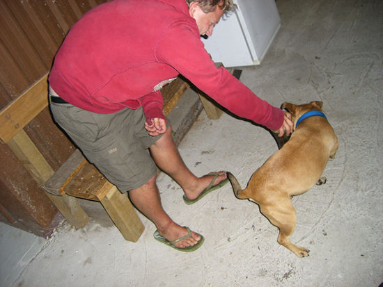Simon plays with the angry dog