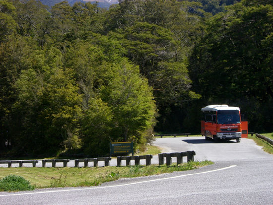 Straybus
