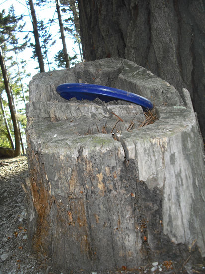 Das passiert wenn Shaun die frisby wirft