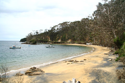 Stewart Island irgendein Strand