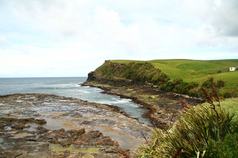 In the Catlins
