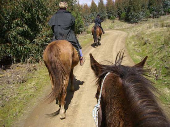 bei einem der Ausritte, ich auf Cruiser, Conny auf Spirit und Nisha auf Bonny