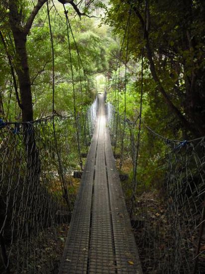 Die einzige Bruecke auf dem ganzen Track