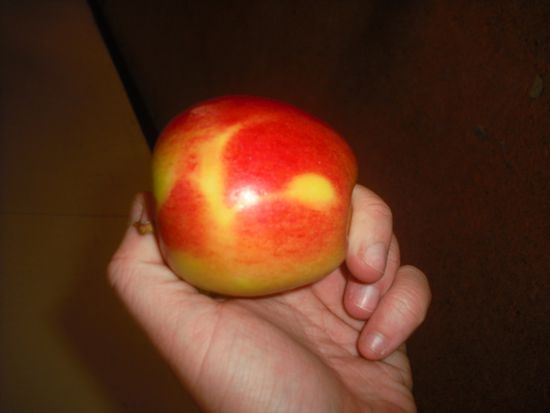 Wenn man so braindead arbeitet freut man sich eine Musiknote in einem Apfel zu erkennen.